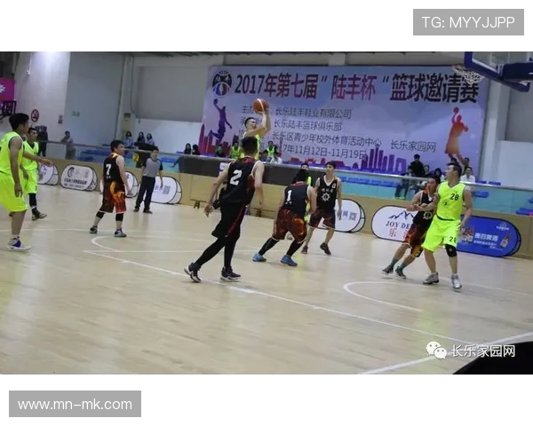 陆丰足球球星名单及其代表性成就分析